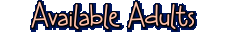 Available Adults